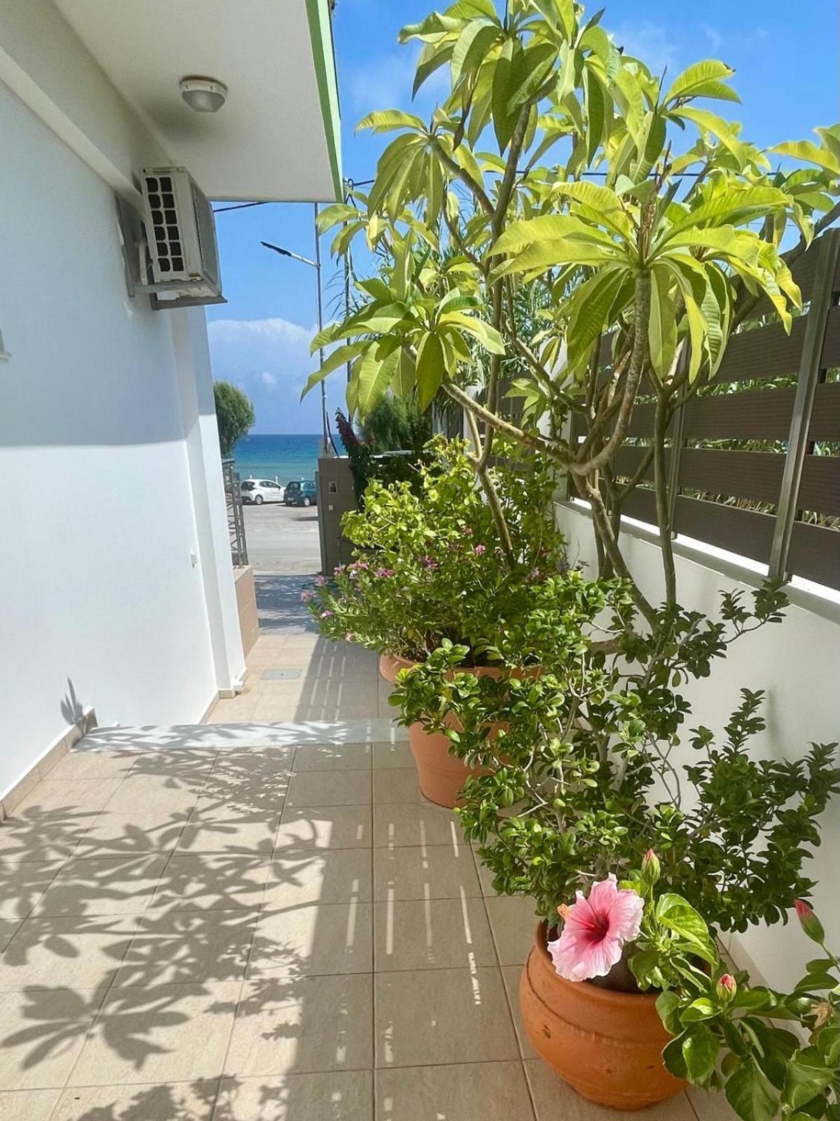 Red Hibiscus Stegna Gospodarstwo wiejskie